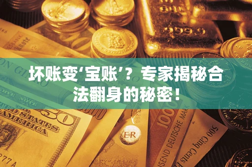 武汉坏账变‘宝账’？专家揭秘合法翻身的秘密！