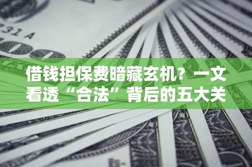 武汉借钱担保费暗藏玄机？一文看透“合法”背后的五大关键陷阱
