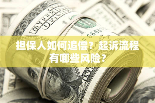 武汉担保人如何追偿？起诉流程有哪些风险？