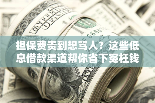武汉担保费贵到想骂人？这些低息借款渠道帮你省下冤枉钱