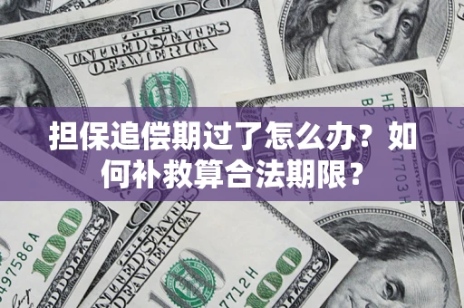武汉担保追偿期过了怎么办？如何补救算合法期限？