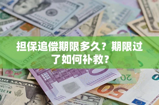 武汉担保追偿期限多久？期限过了如何补救？