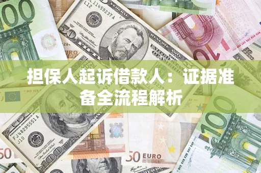 武汉担保人起诉借款人：证据准备全流程解析