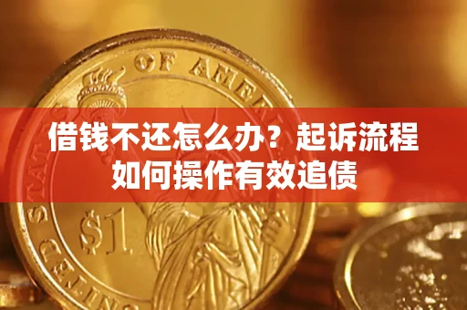 武汉借钱不还怎么办？起诉流程如何操作有效追债