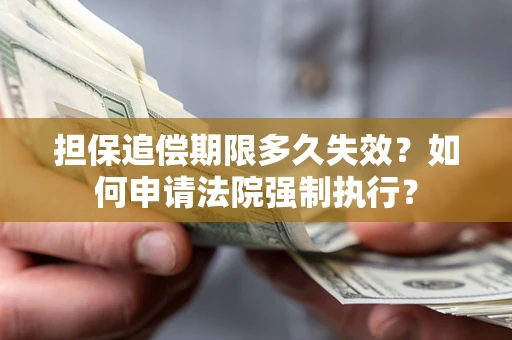 武汉担保追偿期限多久失效？如何申请法院强制执行？