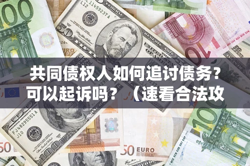 武汉共同债权人如何追讨债务？可以起诉吗？（速看合法攻略）