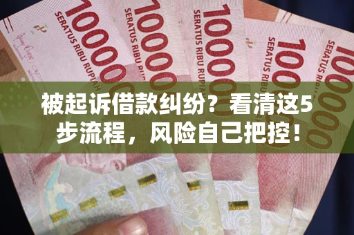 武汉被起诉借款纠纷？看清这5步流程，风险自己把控！